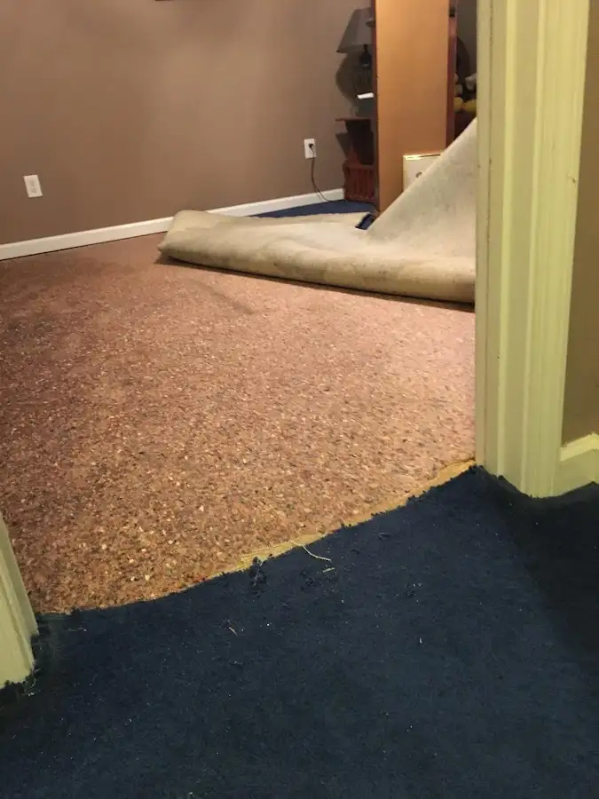 Carpet pad removal revealing water damage during Drying & Dehumidification in Largo