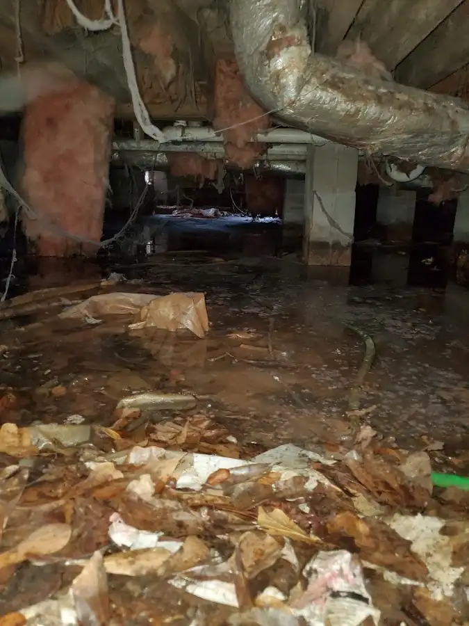 Crawl space flood assessment for Leak Detection & Repair in Largo