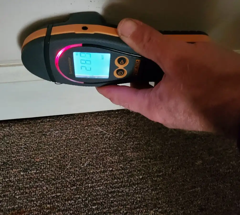 Moisture detection at baseboard during Sewage Cleanup & Sanitation in Largo
